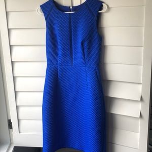 J crew royal blue dress